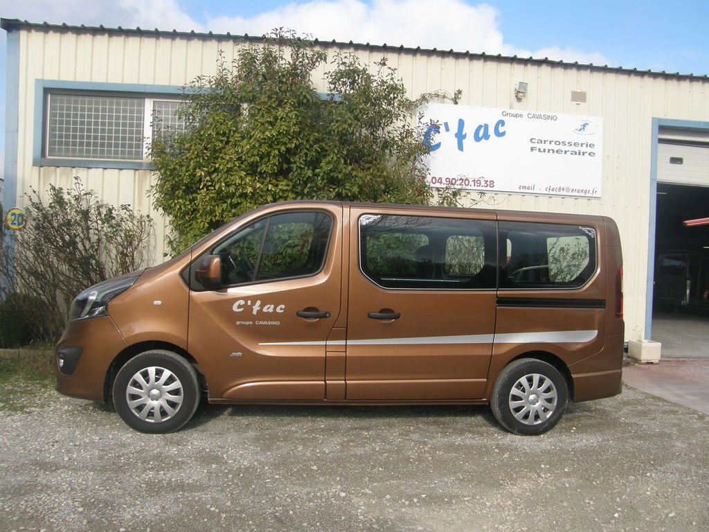 corbillard vivaro marron