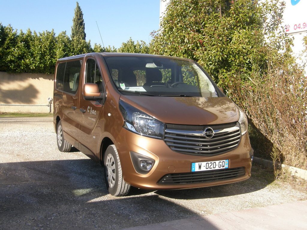 corbillard vivaro marron